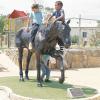 Hardy Norseman, the horse that named a town and a golfing spot